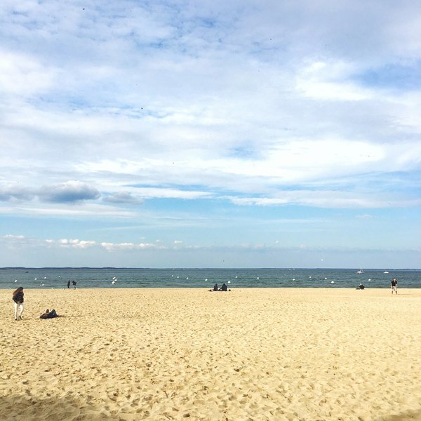 Que faire à Arcachon : les incontournables de la ville ?